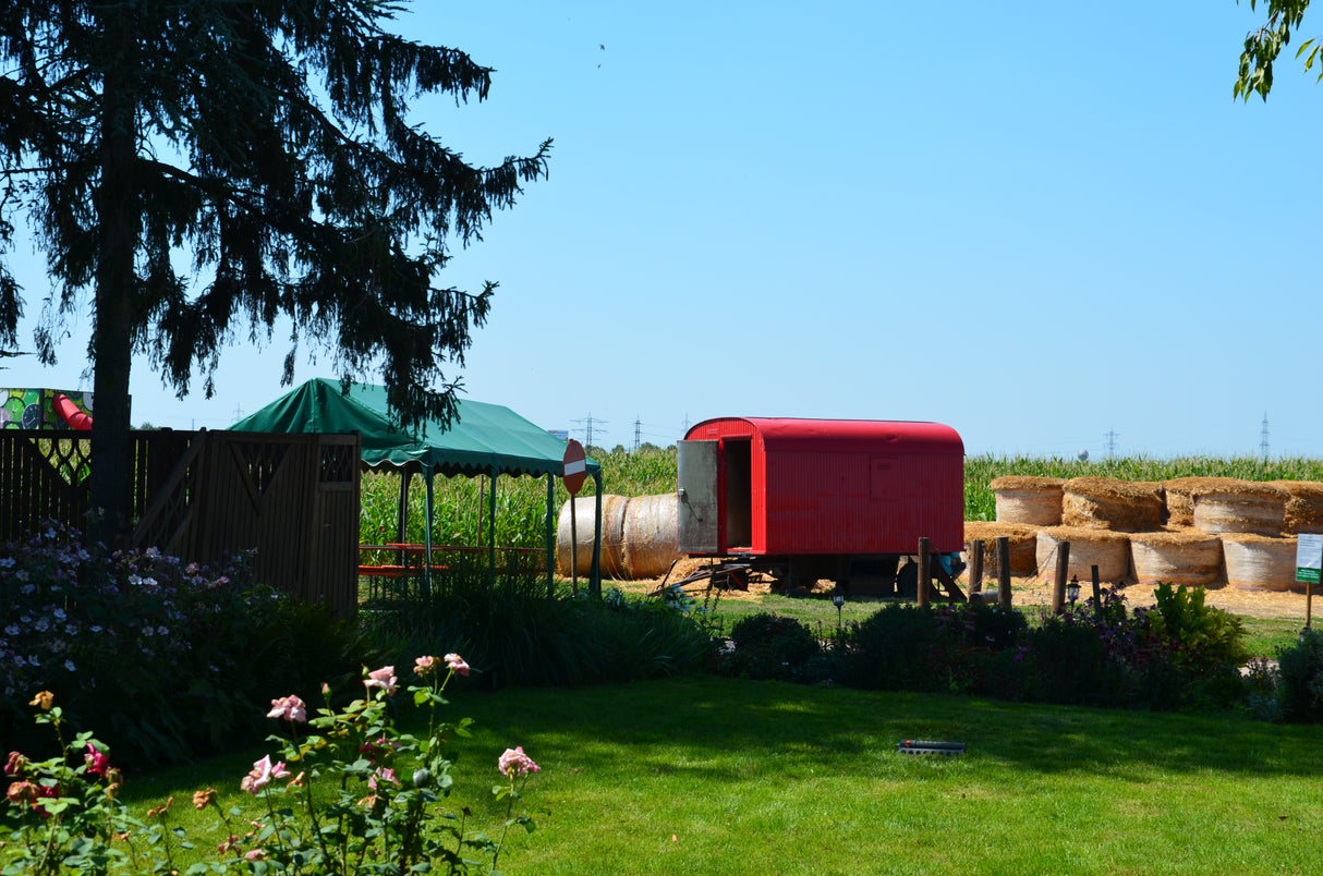 Kindergeburtstag auf dem hegehof