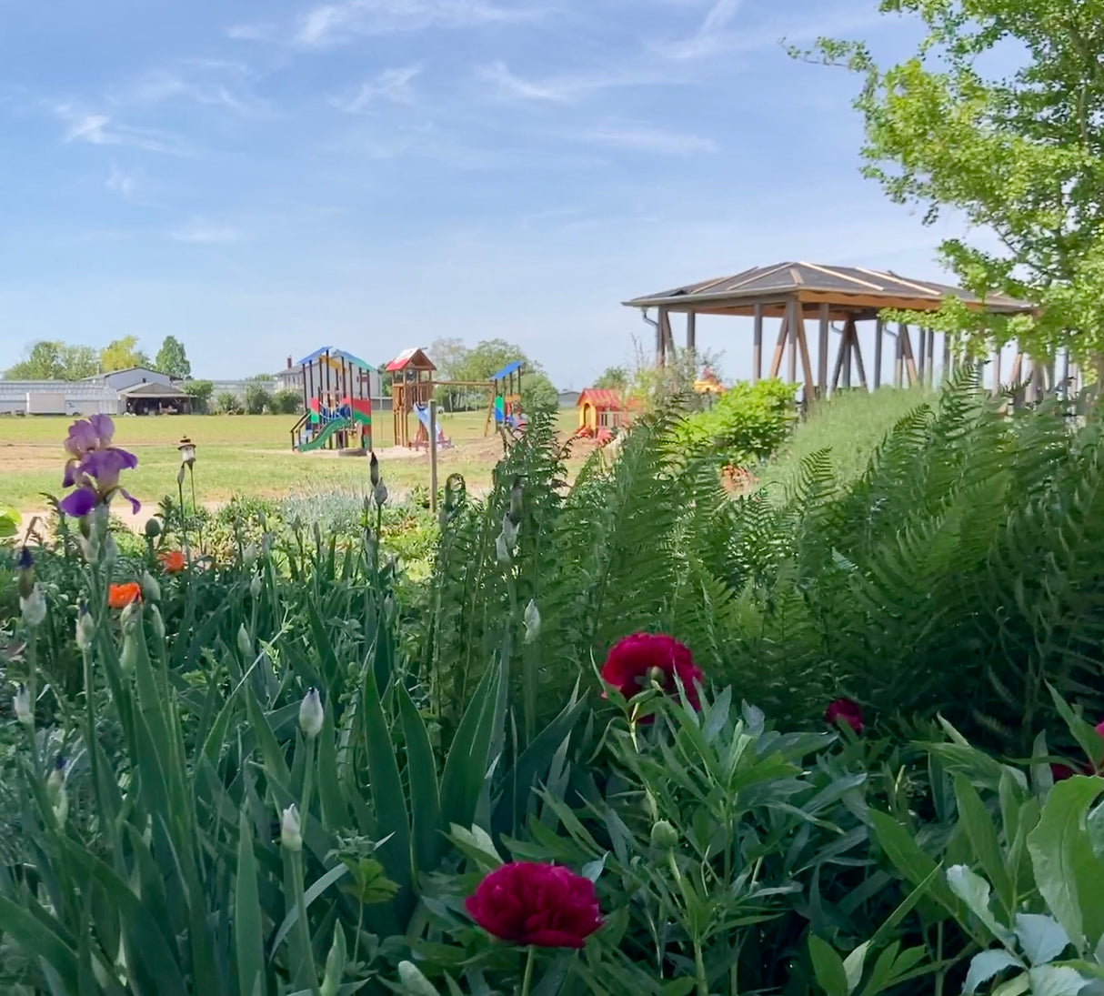 Kindergeburtstag auf dem hegehof