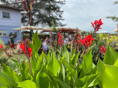 Nach sechs Jahren Pause: Kinderfest auf dem hegehof begeistert Familien