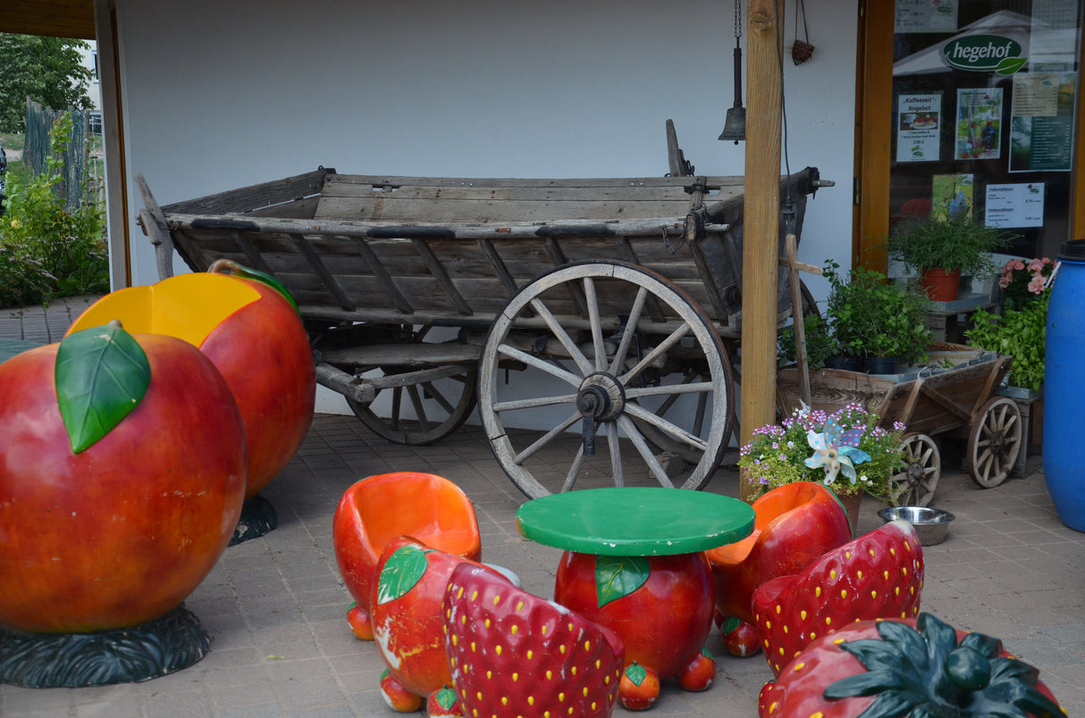 Kindergeburtstag auf dem hegehof