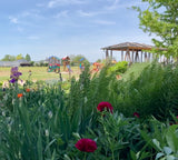 Kindergeburtstag auf dem hegehof