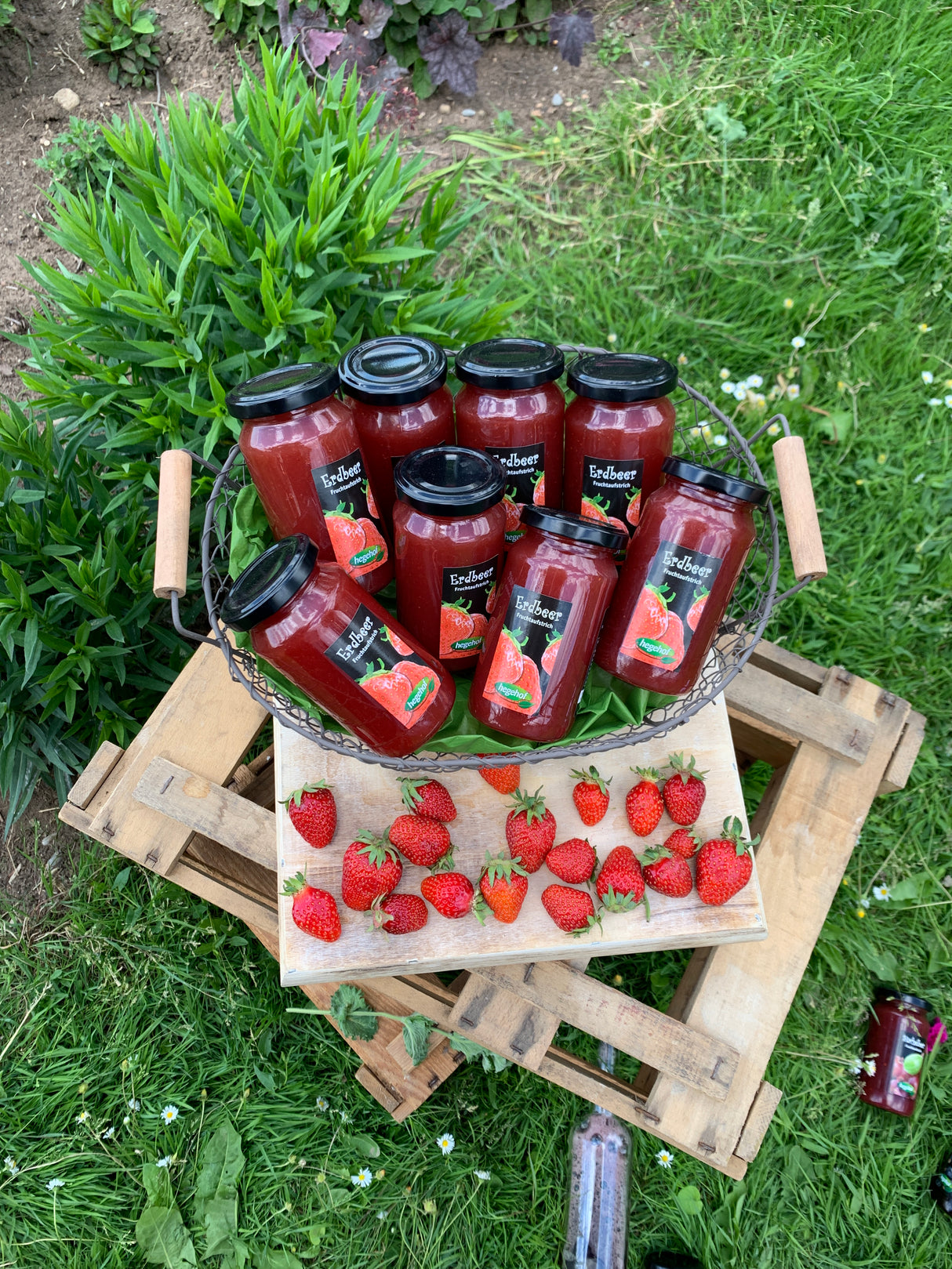 Erdbeere Trio - Fruchtaufstrich
